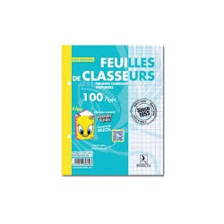 Feuilles de Classeur -...