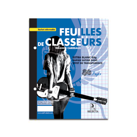 Feuilles de classeur -...