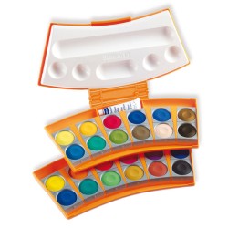 Peinture Pro color -...