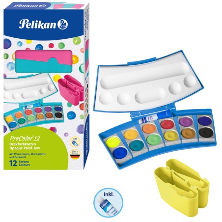 Peinture Pro color -...