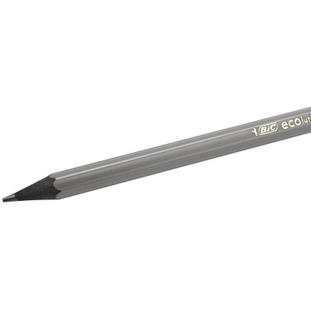 Crayon Gris Evolution HB Bic