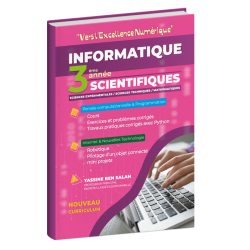 Vers l'Excellence Numérique...