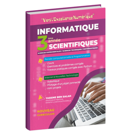 Vers l'Excellence Numérique...