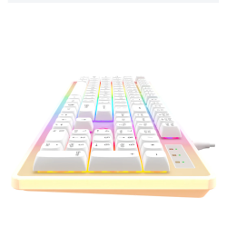 Clavier GAMER HAVIT KB876L...