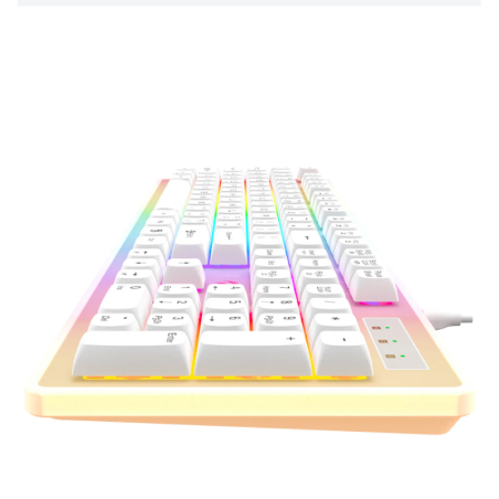 Clavier GAMER HAVIT KB876L...
