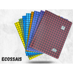 Cahier - Aladin - n°24