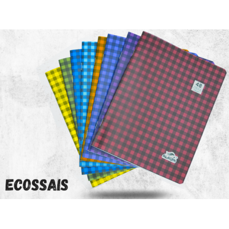 Cahier - Aladin - n°24