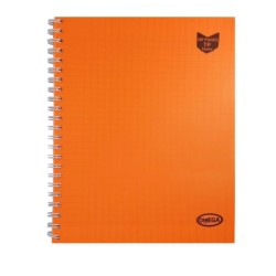 Cahier Travaux Pratiques -...